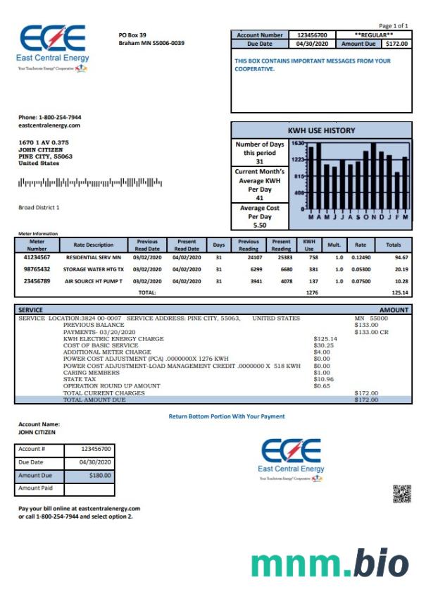 USA Minnesota East Central Energy rachunek za media szablon w formacie Word i PDF